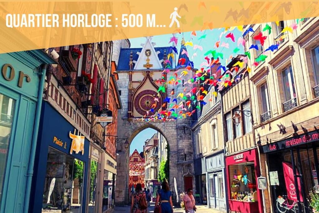 La Belle Vie - Appartement Cosy Au Centre-Ville Auxerre Zewnętrze zdjęcie
